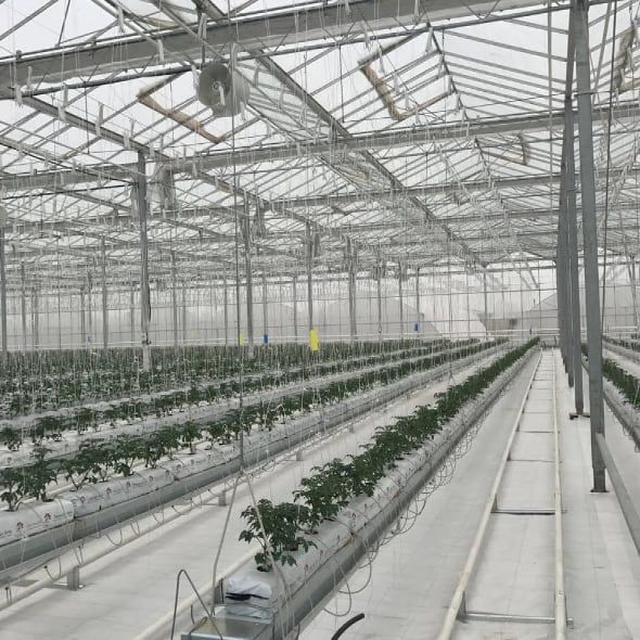 Topraksız üretim sistemi — MGS SERA